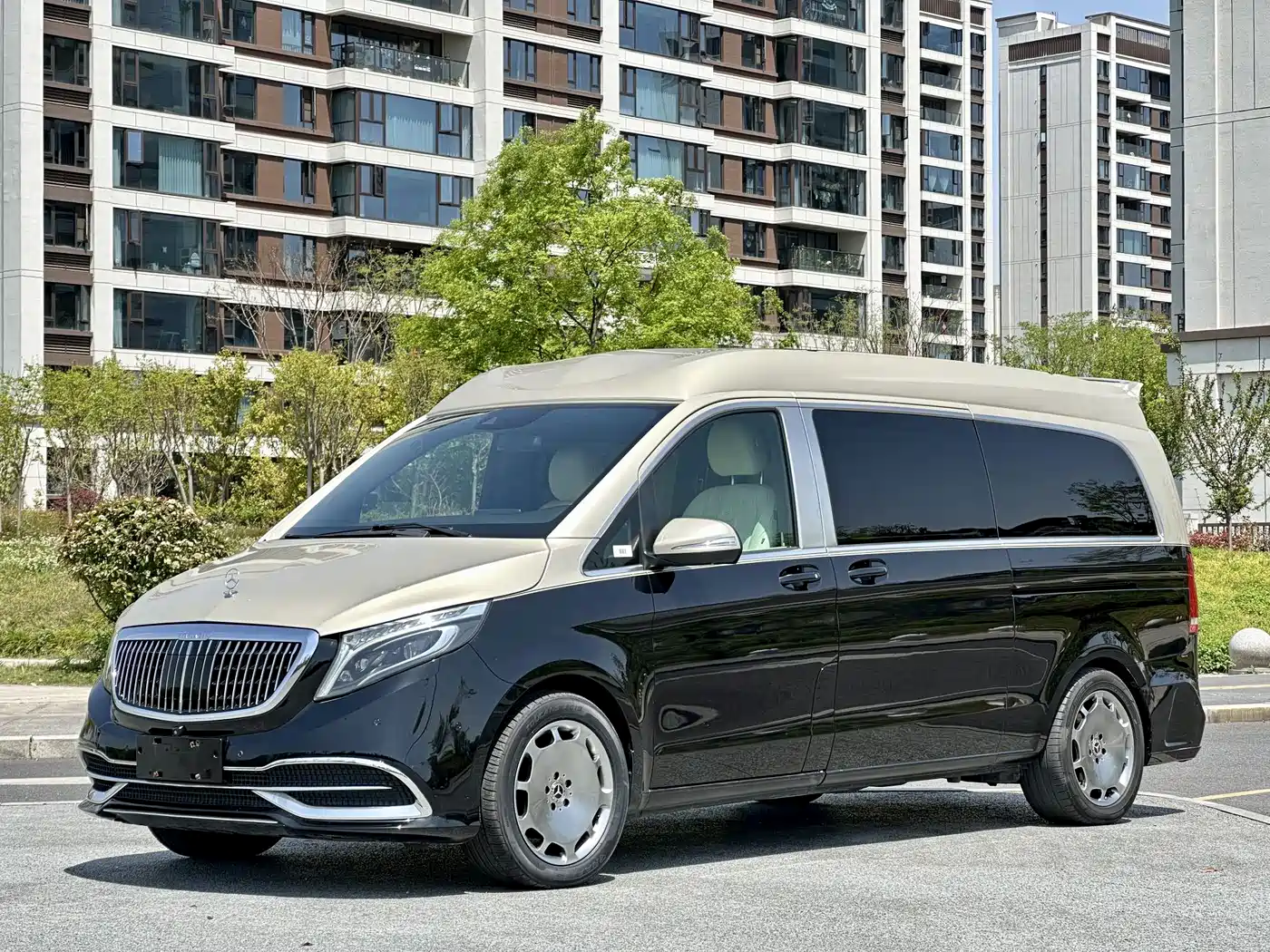 Longcheng Auto Longcheng Zhongjiao V-Class 2021 Luxury Version