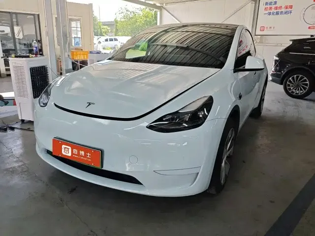 Tesla Model Y 2022 Rear-Wheel Drive Version