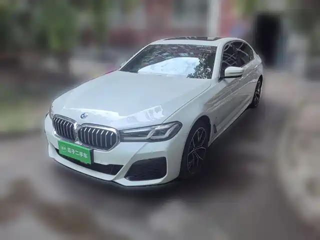 BMW 5 Series 2021 530Li Premium M Sport Package