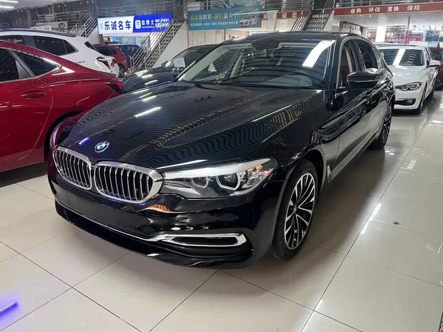BMW 5 Series 2019 530Li Leading Luxury Package