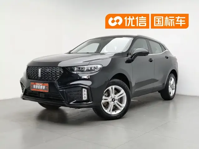 WEY VV5 2020 1.5T 2WD Style Pioneer