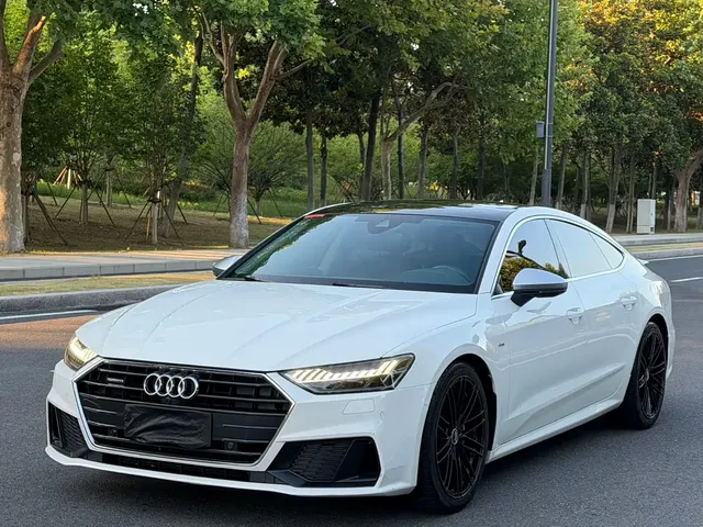 Audi A7 2019 55 TFSI quattro Dynamic Type
