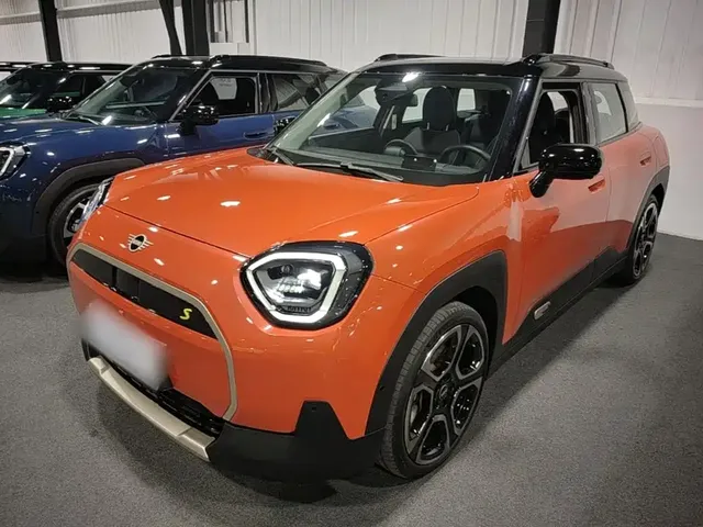 MINI Electric MINI ACEMAN 2024 Model SE Artist