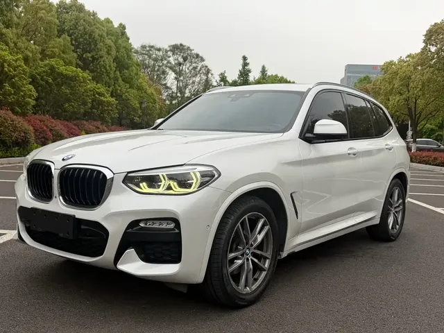 BMW X3 2018 xDrive30i Leading M Sport Package China V
