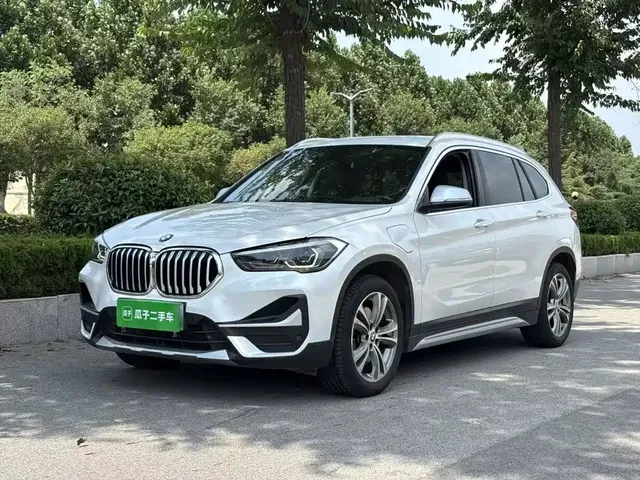 BMW X1 New Energy 2020 xDrive30Le Premium Edition