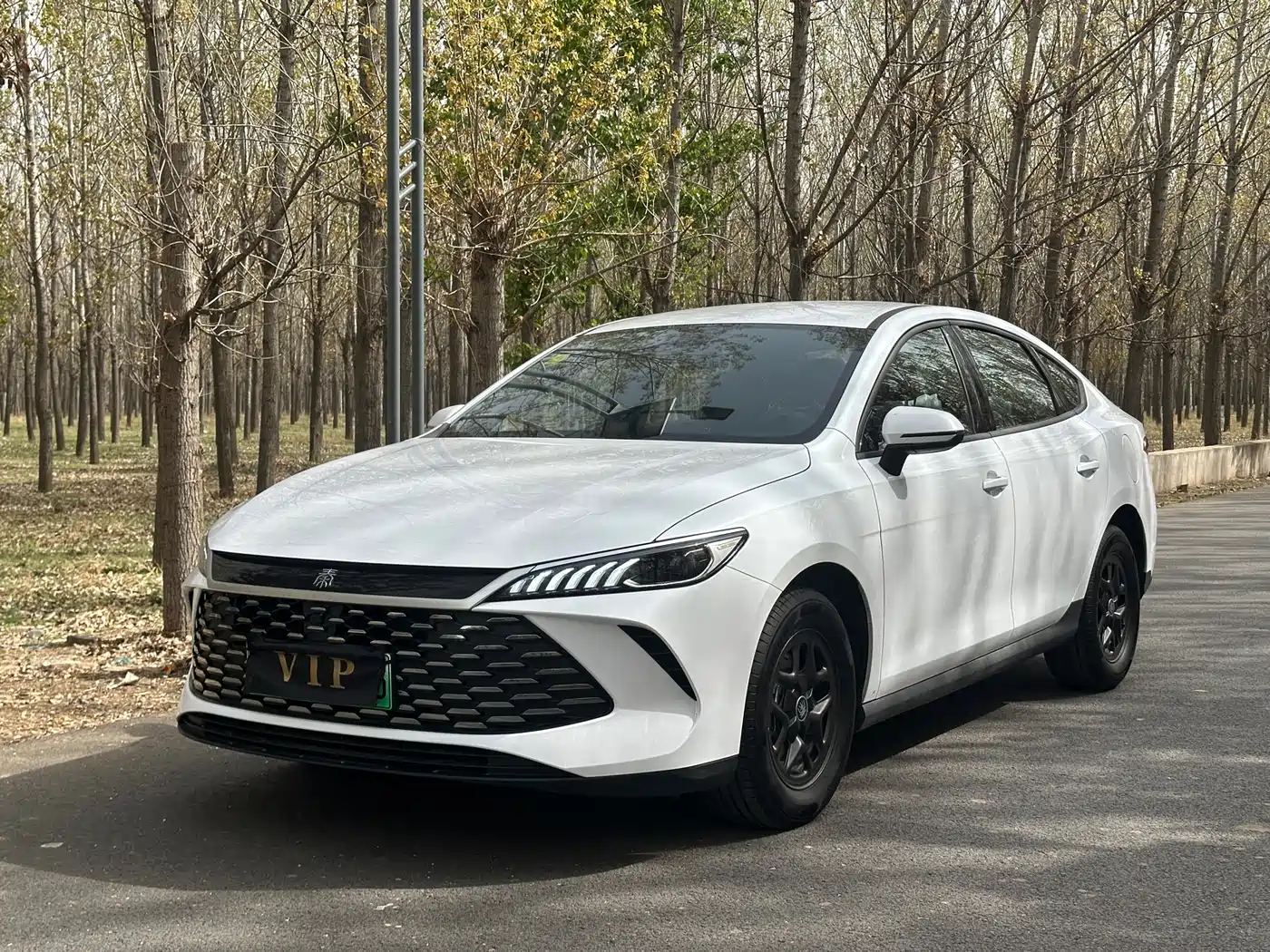 BYD Qin PLUS 2025 DM-i Smart Drive 55KM Leader