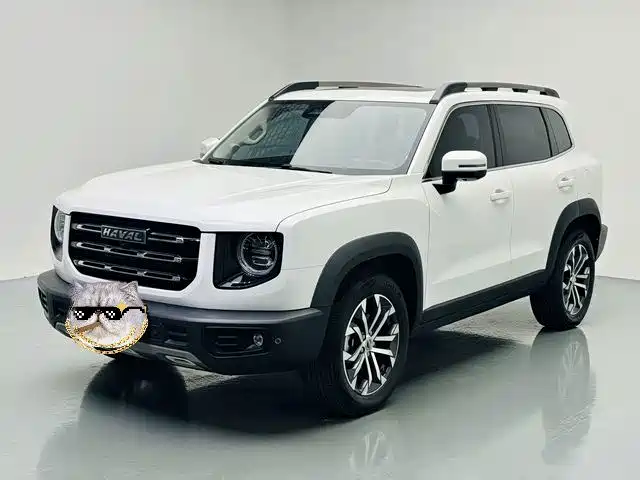 Haval Big Dog 2022 1.5T DCT FWD Border Collie Edition
