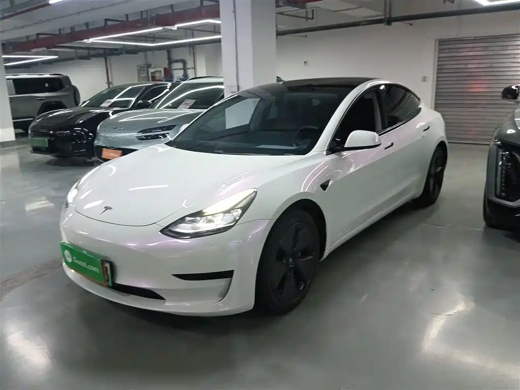 Tesla Model 3 2021 Facelift Standard Range RWD Upgrade 3D1