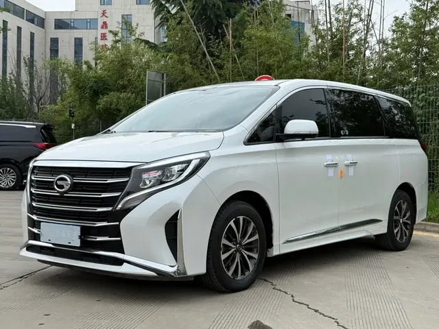 GAC Trumpchi M8 2023 Leading Series 390T Premium Edition