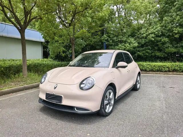 Ora Good Cat 2023 401km Standard Range Luxury LFP