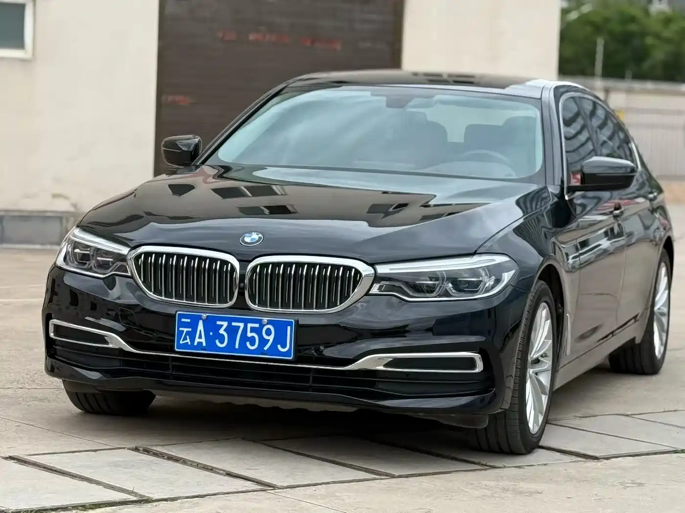 BMW 5 Series 2020 530Li Premium Luxury Package
