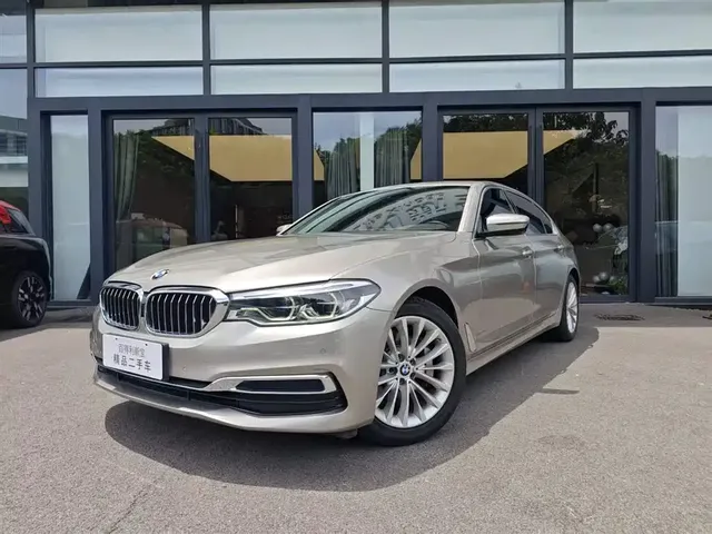 BMW 5 Series 2020 530Li Leading Luxury Package