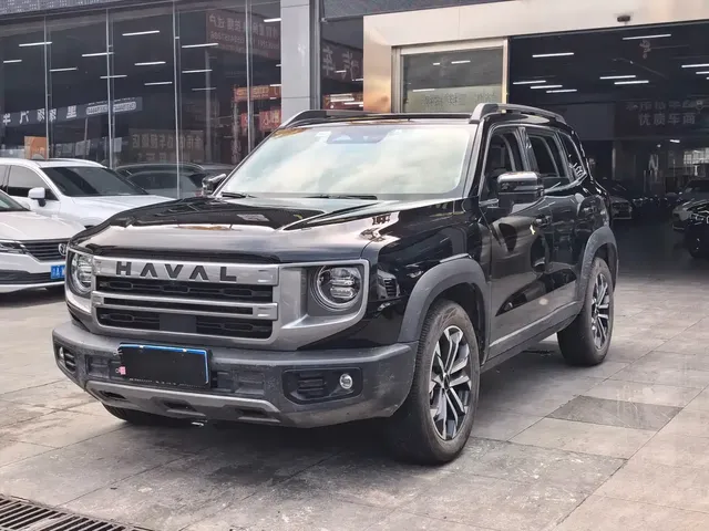 Haval Big Dog 2024 1.5T DCT Border Collie Edition