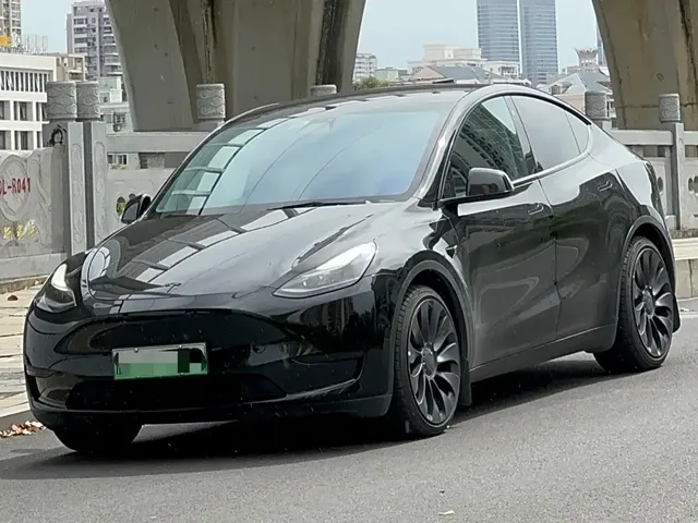 Tesla Model Y 2022 Rear-Wheel Drive Version