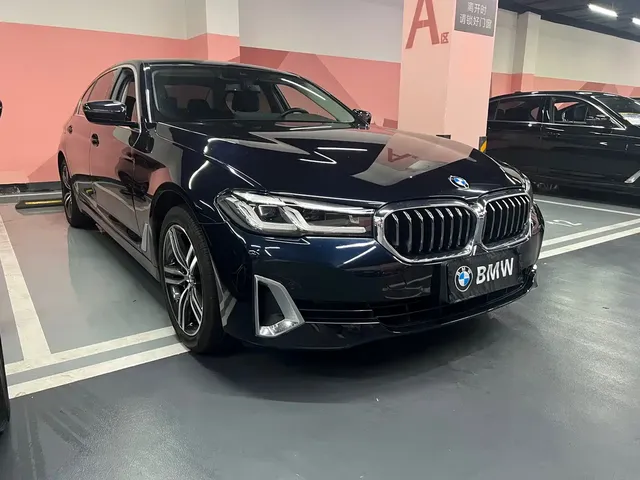 BMW 5 Series 2021 530Li Leading Luxury Package