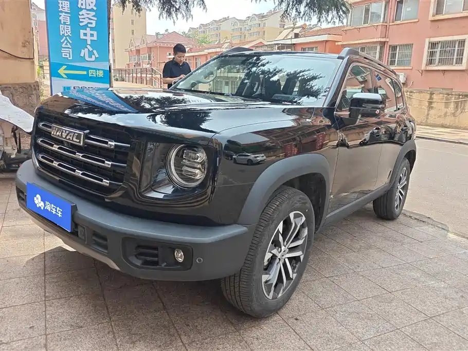 Haval Big Dog 2022 1.5T DCT FWD Border Collie Edition