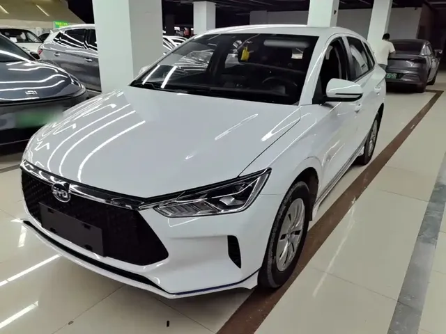 BYD e2 2021 Comfort Model