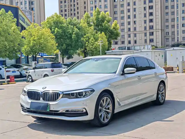 BMW 5 Series New Energy 2018 530Le Luxury Package