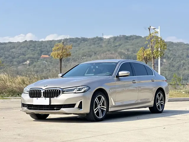 BMW 5 Series 2021 Facelift 530Li Leading Luxury Package