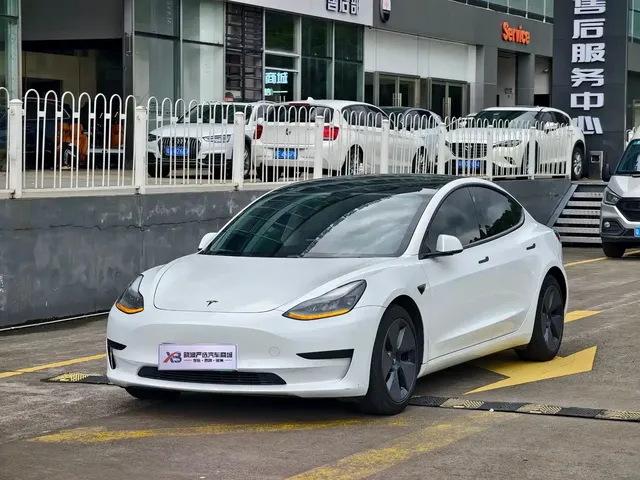 Tesla Model 3 2021 Standard Range Rear-Wheel Drive Upgrade