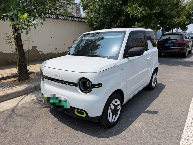 Geely Galaxy Panda 2025 Panda mini 210km Vitality Bear