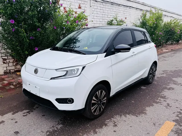 Electric House YOUNG Guang Xiaoxin 2023 302KM Pearl Edition