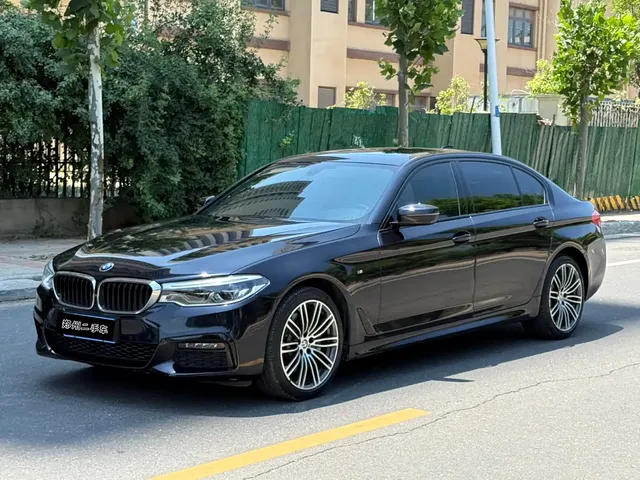 BMW 5 Series 2019 530Li Premium M Sport Package