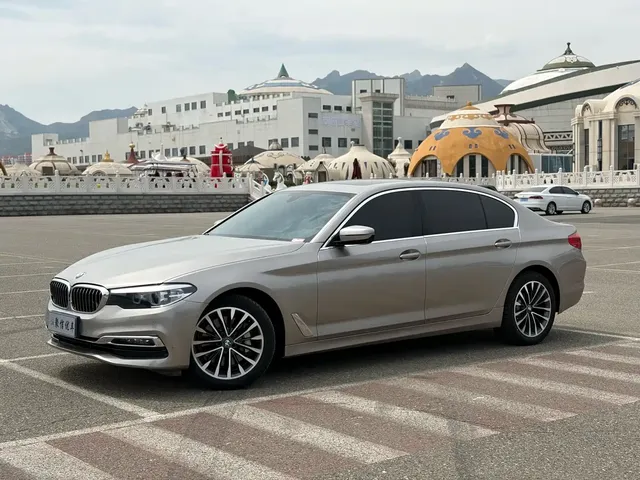 BMW 5 Series 2019 530Li Leading Luxury Package