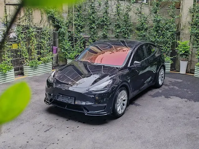 Tesla Model Y 2021 Standard Range Rear-Wheel Drive