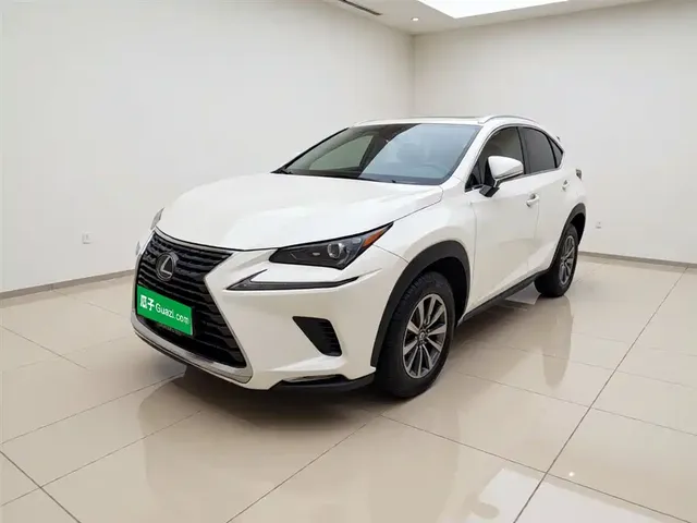 Lexus NX 2020 200 AWD F Sport China V