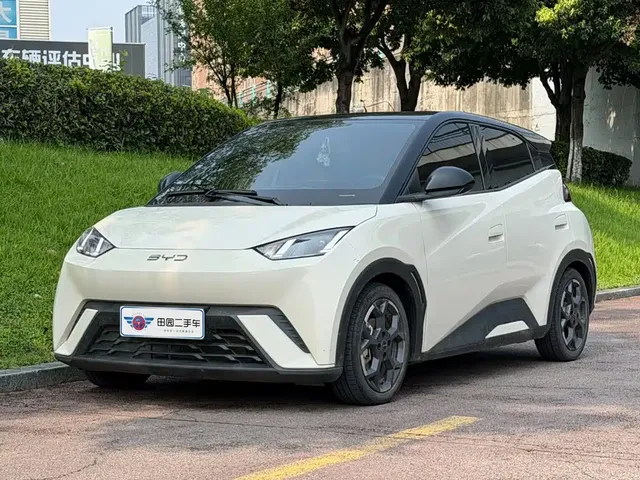 BYD Seagull 2025 305km Freedom