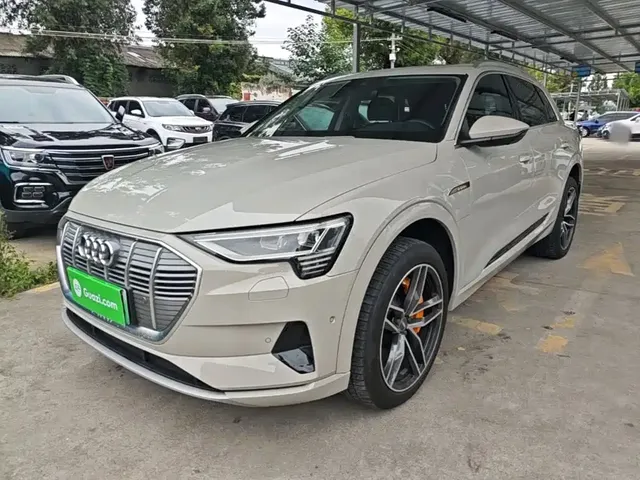 Audi e-tron (Import) 2019 55 quattro Fashion