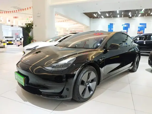 Tesla Model 3 2022 Model Rear-Wheel Drive Version