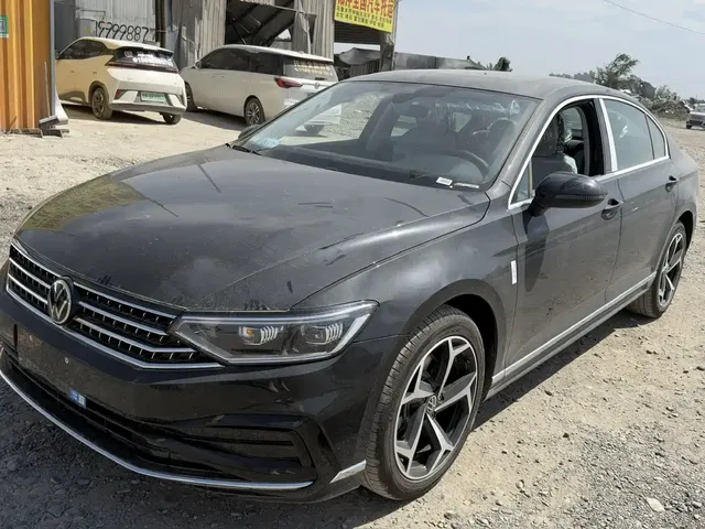 Volkswagen Magotan 2026 Model 30 Million Special Selection 380TSI DSG Luxury