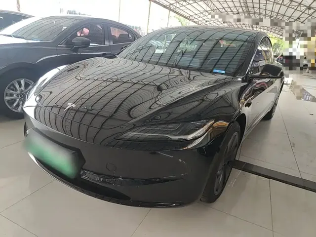 Tesla Model 3 2025 Model Rear-Wheel Drive Edition
