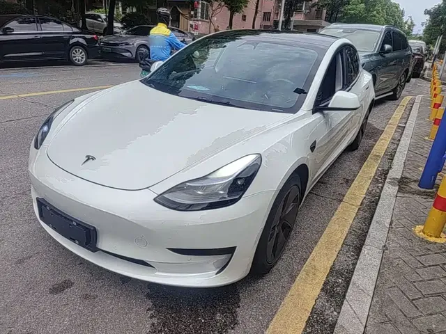 Tesla Model 3 2022 Model Rear-Wheel Drive Version