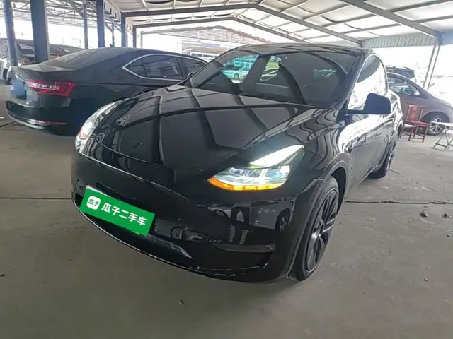 Tesla Model Y 2021 Standard Range Rear-Wheel Drive