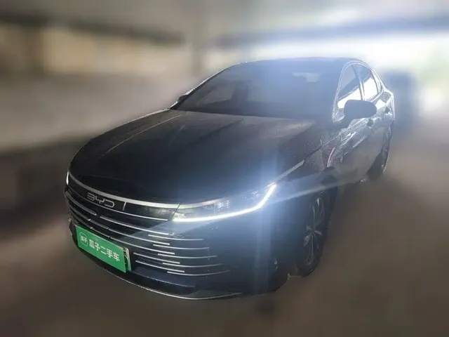 BYD Destroyer 05 2024 Glory Edition DM-i 55KM Luxury