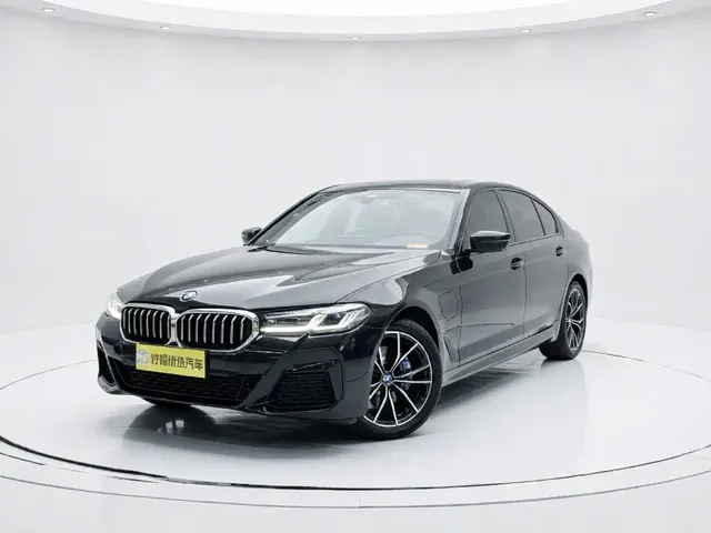 BMW 5 Series (Import) 2022 Model Second Facelift 530i M Sport Package