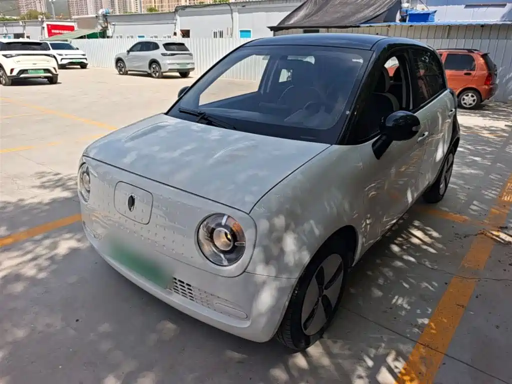 Ora Black Cat 2021 301km Pet Edition