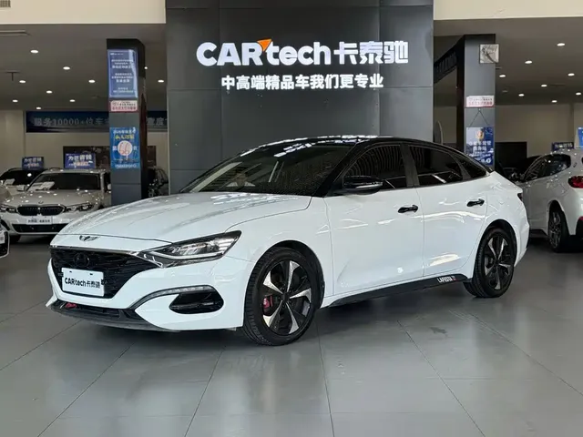 Hyundai Fista 2019 280TGDi Smart Speed Edition China VI