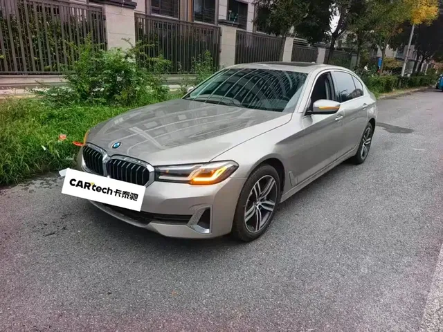 BMW 5 Series 2021 530Li Leading Luxury Package