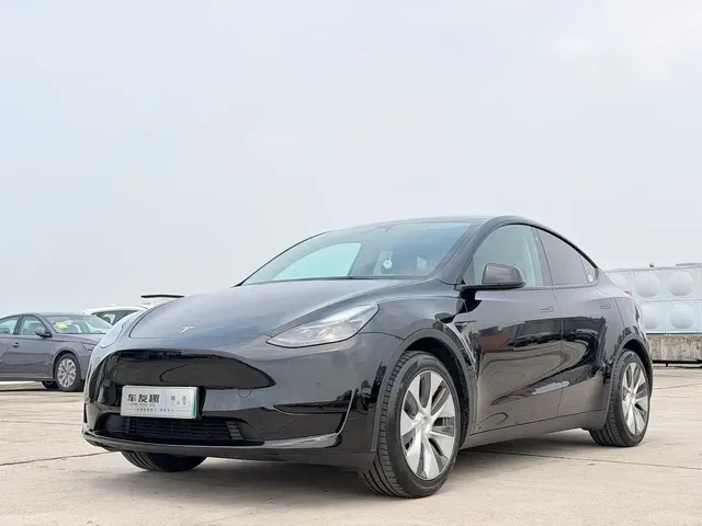 Tesla Model Y 2022 Rear-Wheel Drive Version