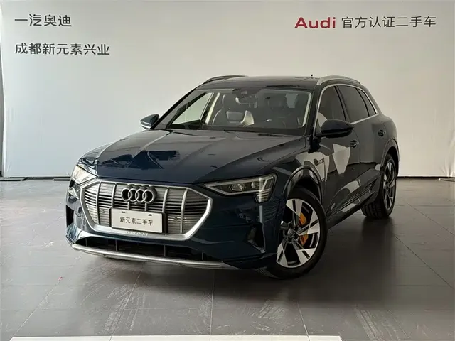 Audi e-tron (Import) 2019 55 quattro Technology