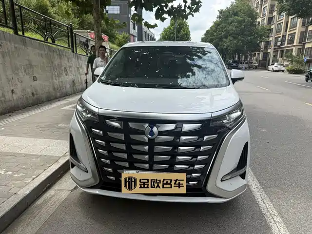 Denza D9 2024 DM-i 980 AWD Flagship