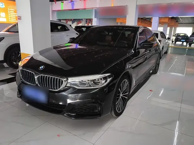 BMW 5 Series 2020 530Li Exclusive M Sport Package