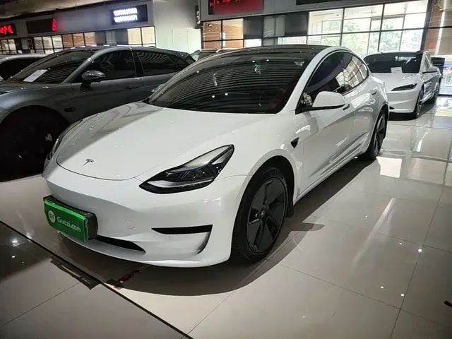 Tesla Model 3 2022 Model Rear-Wheel Drive Version