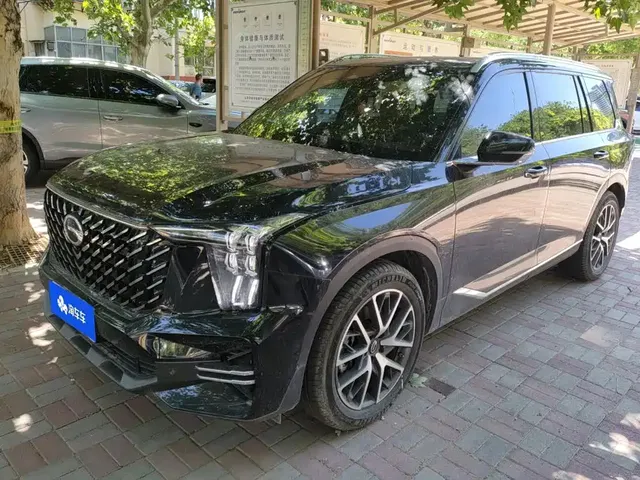 GAC Trumpchi GS8 2025 Pilot Series 2.0TGDI 2WD Luxury Edition 5-seater