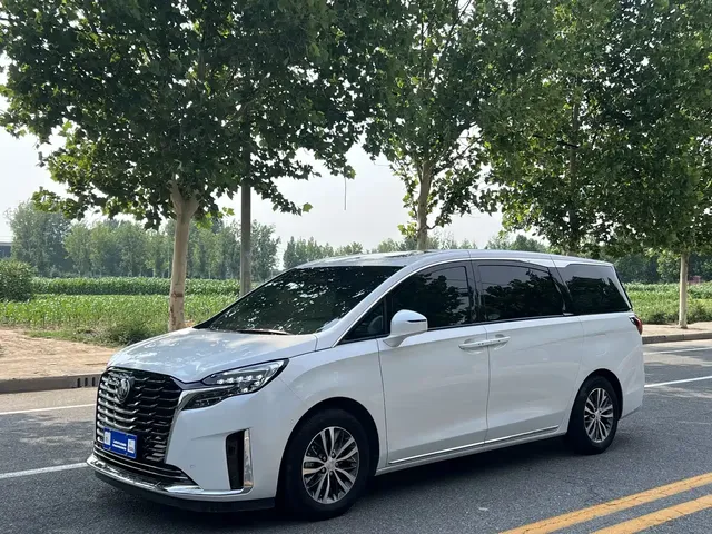 Buick GL8 2023 ES Landmaster Exclusive