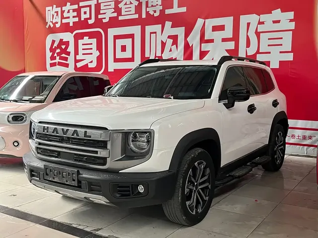Haval Big Dog 2024 1.5T DCT Border Collie Edition